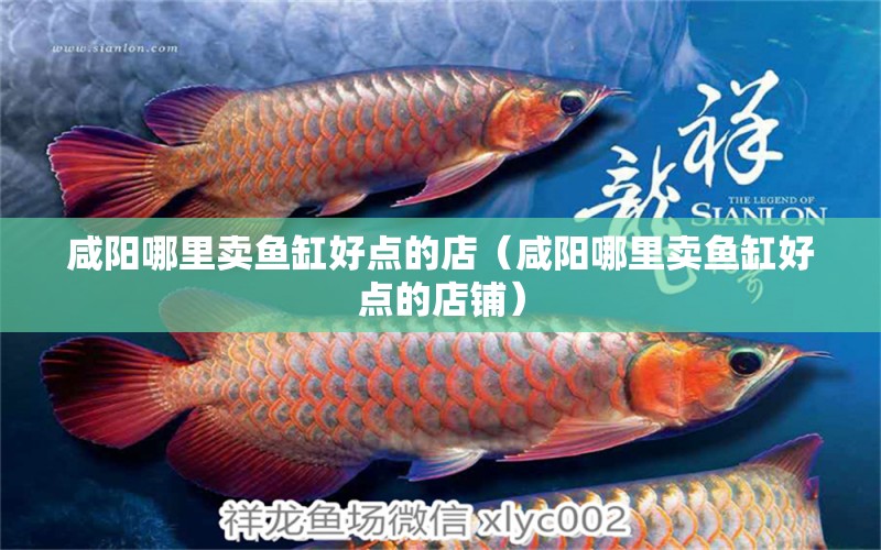 咸陽哪里賣魚缸好點的店（咸陽哪里賣魚缸好點的店鋪） 朱巴利魚苗