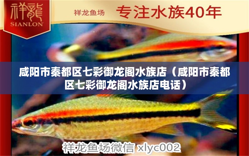 咸陽市秦都區(qū)七彩御龍閣水族店（咸陽市秦都區(qū)七彩御龍閣水族店電話）