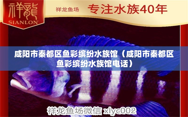 咸陽(yáng)市秦都區(qū)魚(yú)彩繽紛水族館（咸陽(yáng)市秦都區(qū)魚(yú)彩繽紛水族館電話） 全國(guó)水族館企業(yè)名錄