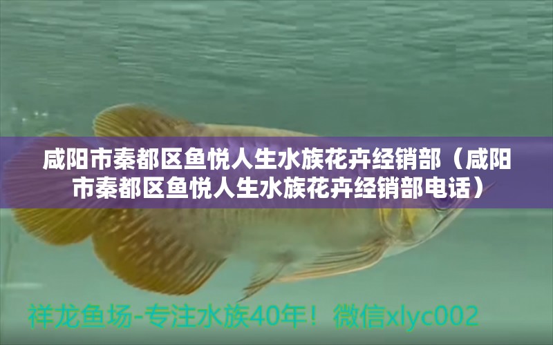 咸陽市秦都區(qū)魚悅?cè)松寤ɑ芙?jīng)銷部（咸陽市秦都區(qū)魚悅?cè)松寤ɑ芙?jīng)銷部電話） 全國水族館企業(yè)名錄