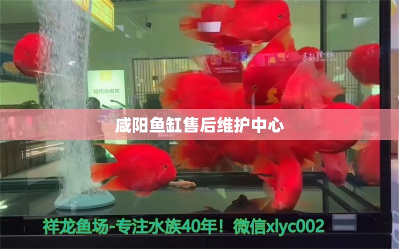 咸陽魚缸售后維護中心 其他品牌魚缸