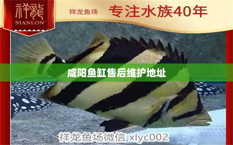 咸陽魚缸售后維護地址 其他品牌魚缸