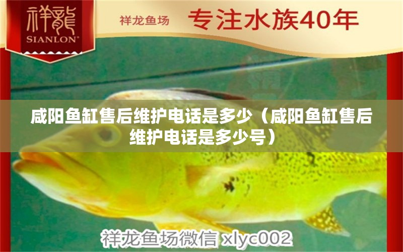 咸陽魚缸售后維護電話是多少（咸陽魚缸售后維護電話是多少號） 其他品牌魚缸