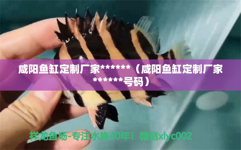 咸陽魚缸定制廠家******（咸陽魚缸定制廠家******號(hào)碼）