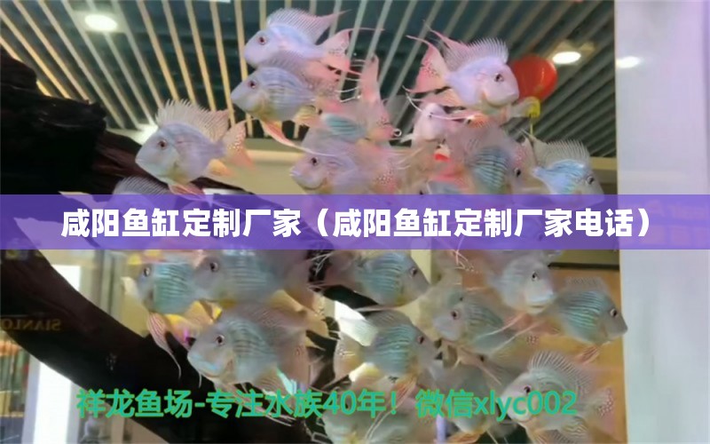 咸陽魚缸定制廠家（咸陽魚缸定制廠家電話）