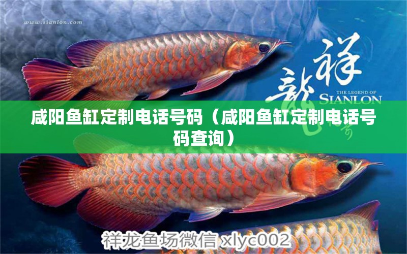 咸陽魚缸定制電話號碼（咸陽魚缸定制電話號碼查詢）