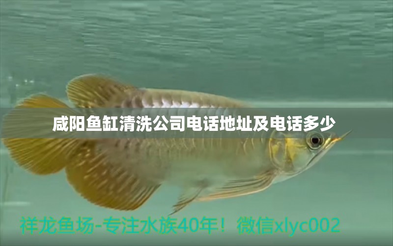 咸陽(yáng)魚(yú)缸清洗公司電話地址及電話多少 