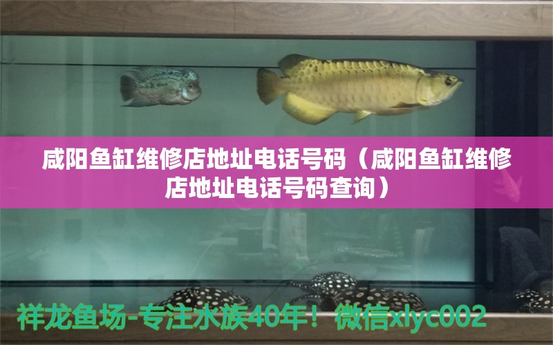 咸陽魚缸維修店地址電話號碼（咸陽魚缸維修店地址電話號碼查詢）