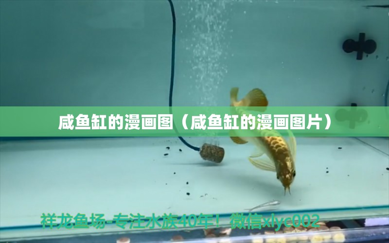 咸魚缸的漫畫圖（咸魚缸的漫畫圖片）