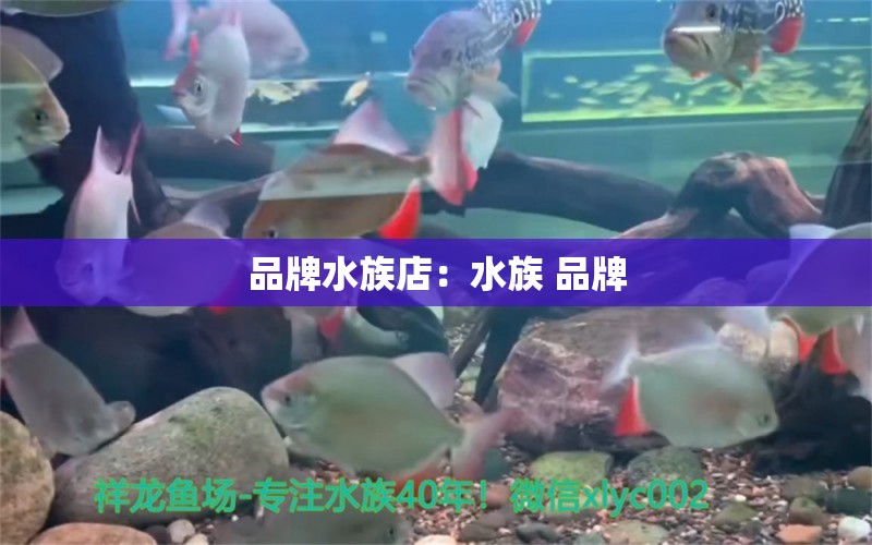 品牌水族店：水族 品牌