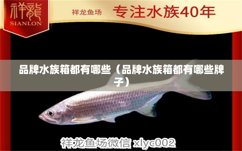 品牌水族箱都有哪些（品牌水族箱都有哪些牌子） 魚(yú)缸/水族箱