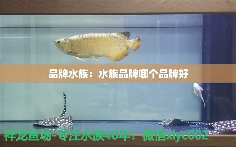 品牌水族：水族品牌哪個(gè)品牌好 水族品牌