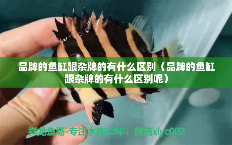 品牌的魚缸跟雜牌的有什么區(qū)別（品牌的魚缸跟雜牌的有什么區(qū)別呢）