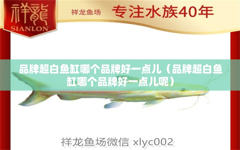 品牌超白魚(yú)缸哪個(gè)品牌好一點(diǎn)兒（品牌超白魚(yú)缸哪個(gè)品牌好一點(diǎn)兒呢） 祥龍水族醫(yī)院