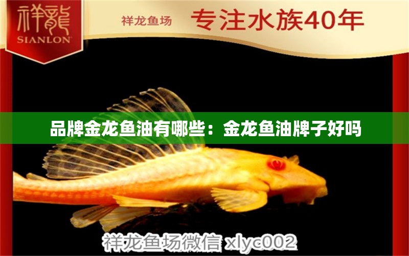 品牌金龍魚(yú)油有哪些：金龍魚(yú)油牌子好嗎 廣州龍魚(yú)批發(fā)市場(chǎng)