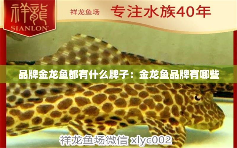 品牌金龍魚都有什么牌子：金龍魚品牌有哪些