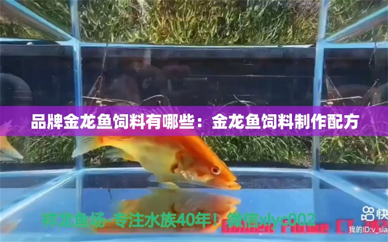 品牌金龍魚(yú)飼料有哪些：金龍魚(yú)飼料制作配方