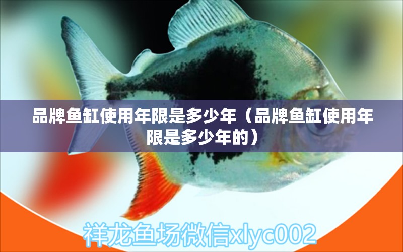 品牌魚(yú)缸使用年限是多少年（品牌魚(yú)缸使用年限是多少年的）