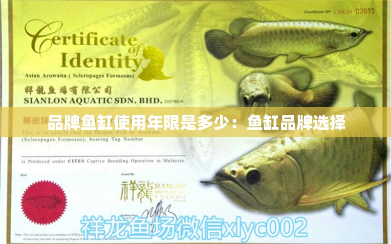 品牌魚缸使用年限是多少：魚缸品牌選擇