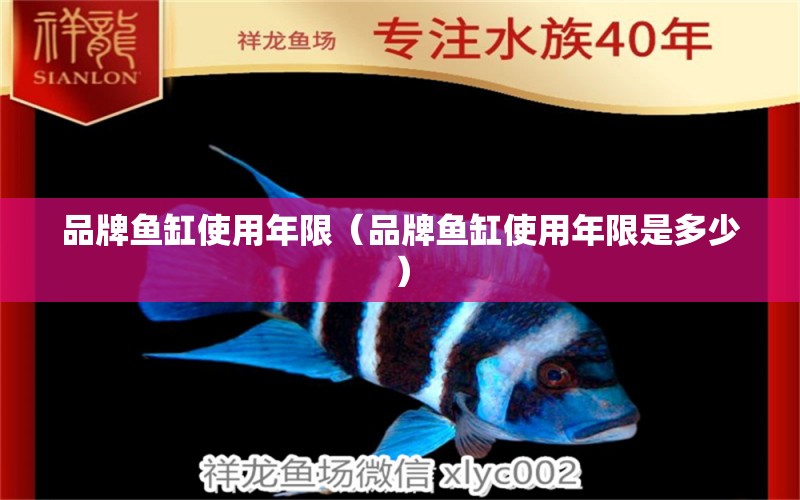 品牌魚缸使用年限（品牌魚缸使用年限是多少） 其他品牌魚缸