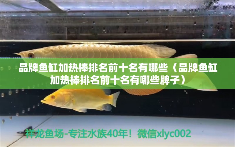 品牌魚(yú)缸加熱棒排名前十名有哪些（品牌魚(yú)缸加熱棒排名前十名有哪些牌子）