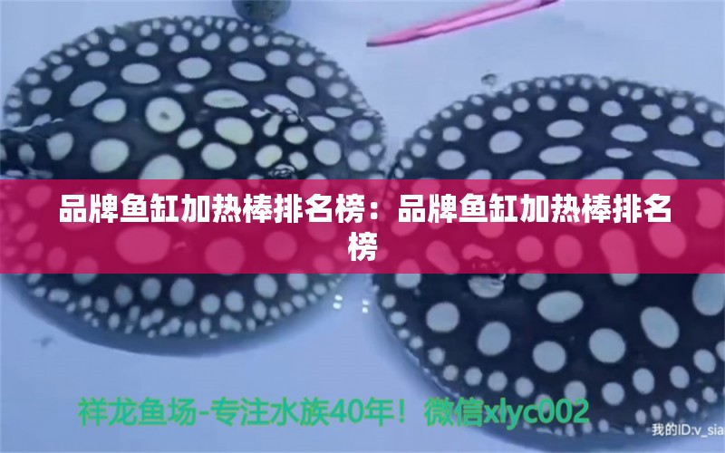 品牌魚缸加熱棒排名榜：品牌魚缸加熱棒排名榜