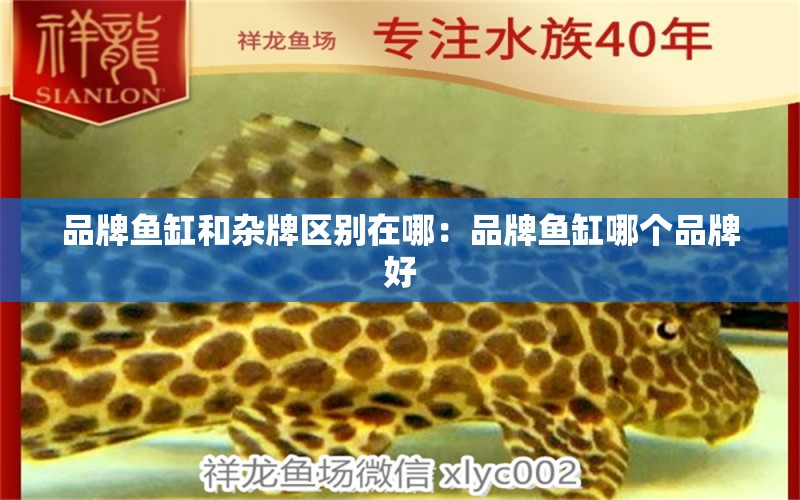 品牌魚缸和雜牌區(qū)別在哪：品牌魚缸哪個(gè)品牌好