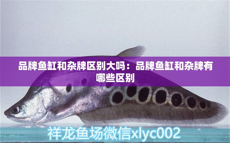 品牌魚缸和雜牌區(qū)別大嗎：品牌魚缸和雜牌有哪些區(qū)別