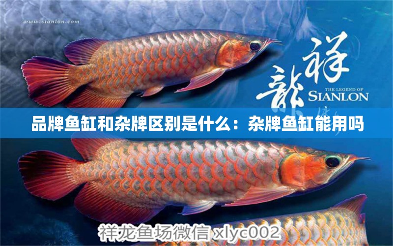 品牌魚缸和雜牌區(qū)別是什么：雜牌魚缸能用嗎 廣州龍魚批發(fā)市場