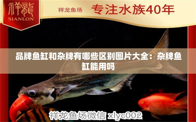 品牌魚(yú)缸和雜牌有哪些區(qū)別圖片大全：雜牌魚(yú)缸能用嗎 廣州龍魚(yú)批發(fā)市場(chǎng)