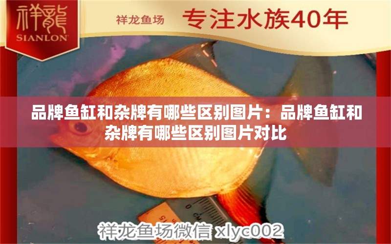 品牌魚(yú)缸和雜牌有哪些區(qū)別圖片：品牌魚(yú)缸和雜牌有哪些區(qū)別圖片對(duì)比