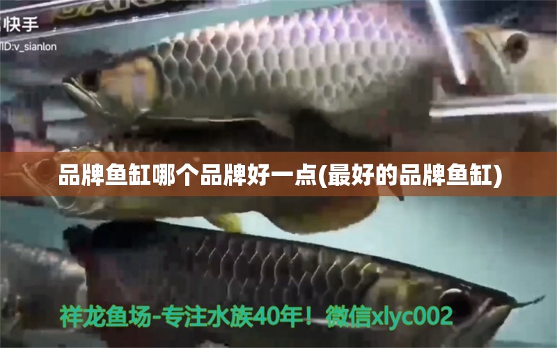 品牌魚缸哪個品牌好一點(最好的品牌魚缸) 水族維護服務(wù)（上門）