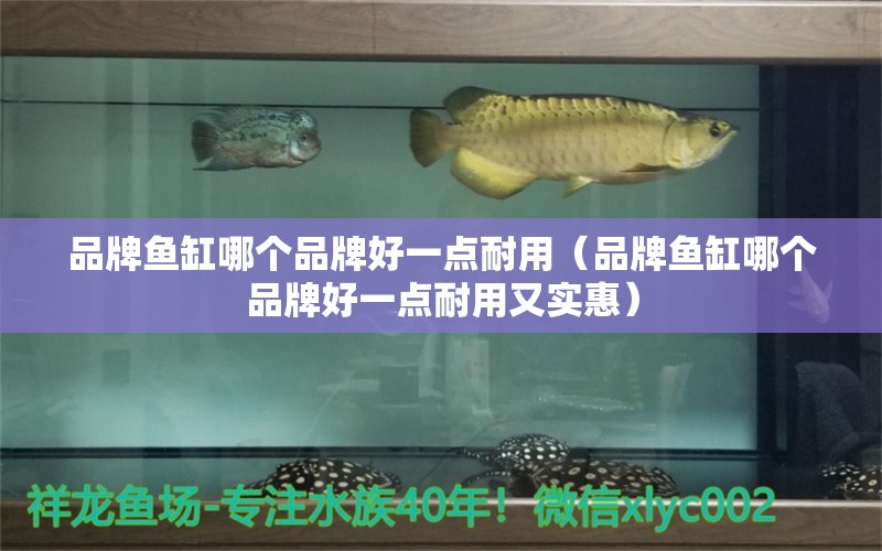 品牌魚(yú)缸哪個(gè)品牌好一點(diǎn)耐用（品牌魚(yú)缸哪個(gè)品牌好一點(diǎn)耐用又實(shí)惠） 其他品牌魚(yú)缸