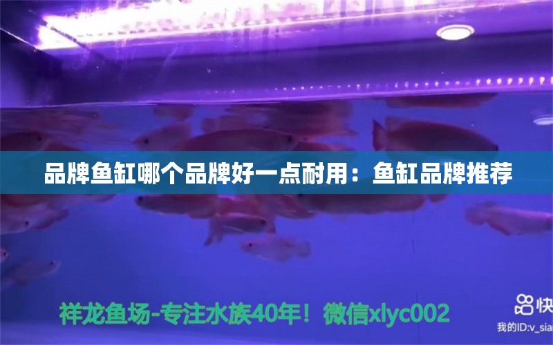 品牌魚缸哪個品牌好一點耐用：魚缸品牌推薦