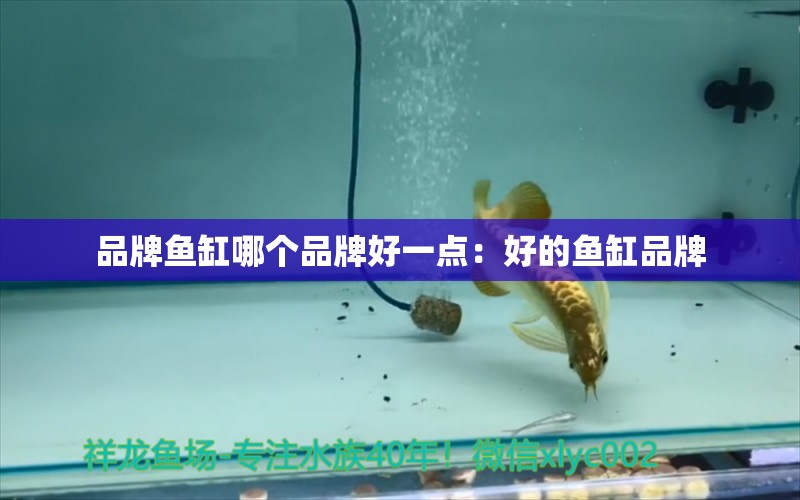 品牌魚缸哪個(gè)品牌好一點(diǎn)：好的魚缸品牌