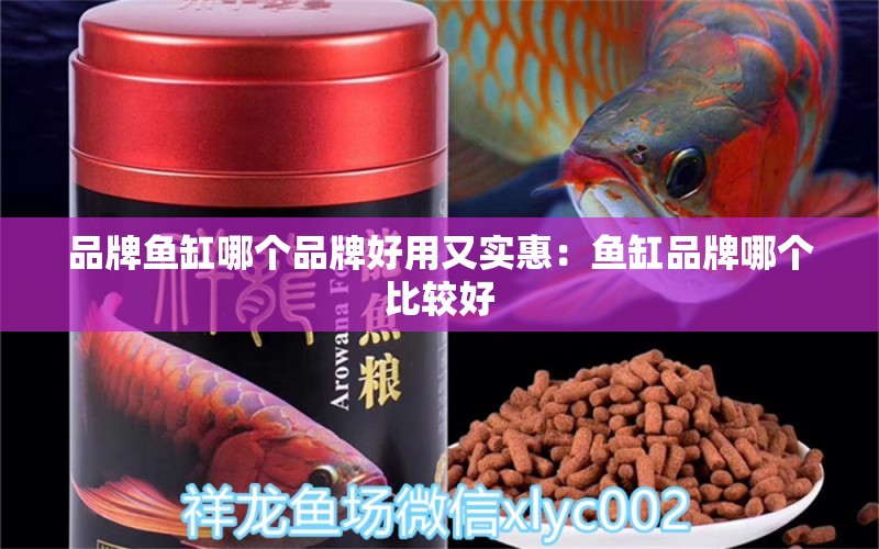 品牌魚缸哪個品牌好用又實惠：魚缸品牌哪個比較好 廣州龍魚批發(fā)市場