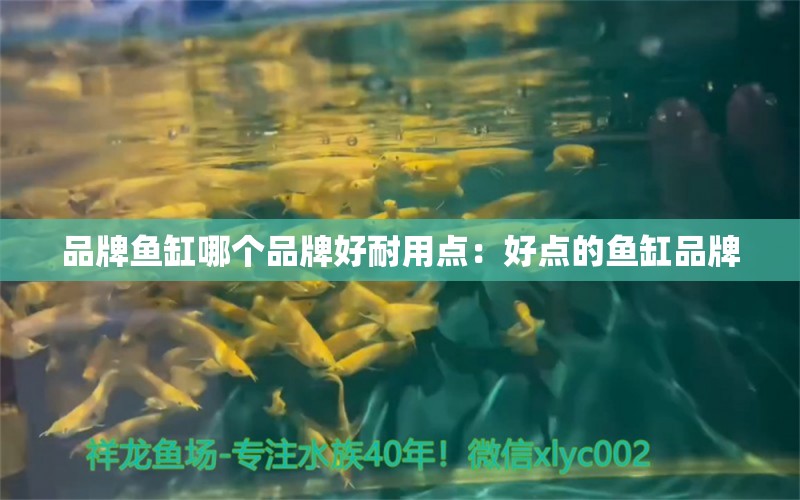 品牌魚缸哪個(gè)品牌好耐用點(diǎn)：好點(diǎn)的魚缸品牌 廣州龍魚批發(fā)市場