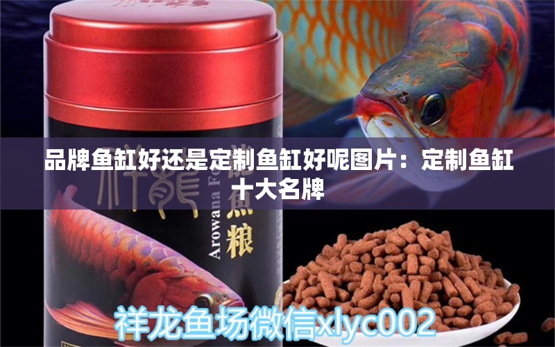 品牌魚(yú)缸好還是定制魚(yú)缸好呢圖片：定制魚(yú)缸十大名牌 水族維護(hù)服務(wù)（上門(mén)）