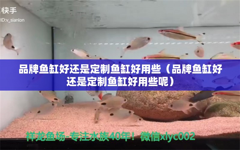 品牌魚缸好還是定制魚缸好用些（品牌魚缸好還是定制魚缸好用些呢） 其他品牌魚缸