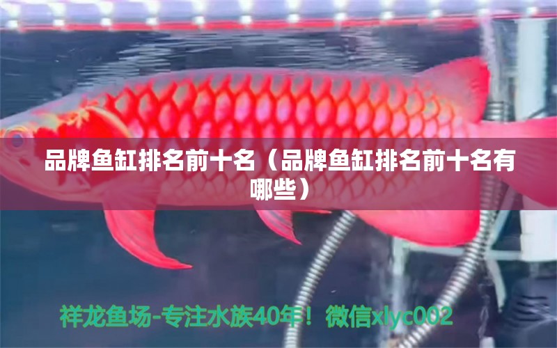 品牌魚缸排名前十名（品牌魚缸排名前十名有哪些）