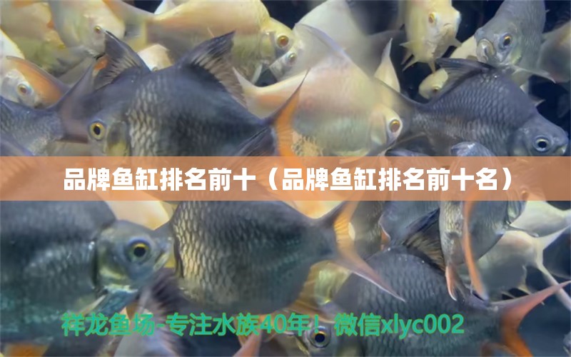 品牌魚缸排名前十（品牌魚缸排名前十名） 其他品牌魚缸