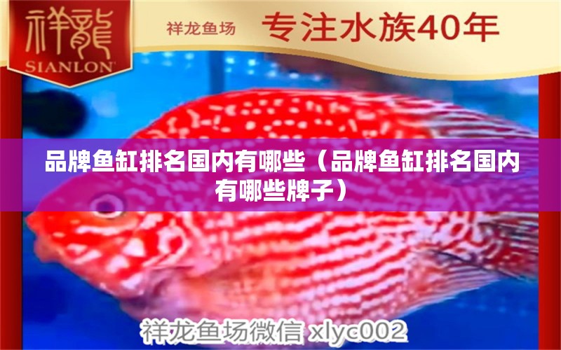 品牌魚缸排名國(guó)內(nèi)有哪些（品牌魚缸排名國(guó)內(nèi)有哪些牌子）