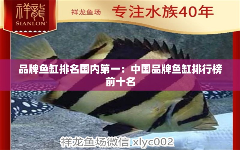 品牌魚缸排名國內(nèi)第一：中國品牌魚缸排行榜前十名 廣州龍魚批發(fā)市場