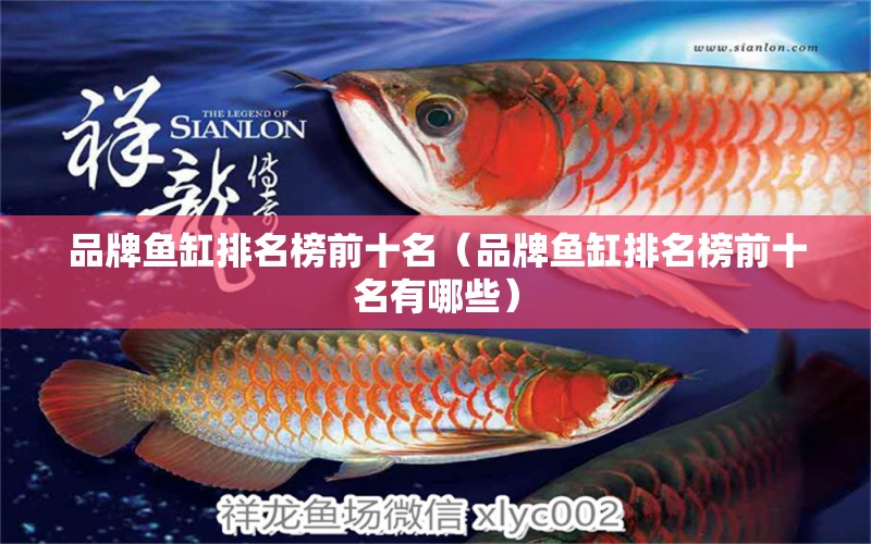 品牌魚(yú)缸排名榜前十名（品牌魚(yú)缸排名榜前十名有哪些）