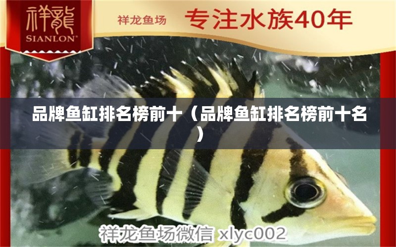 品牌魚缸排名榜前十（品牌魚缸排名榜前十名）