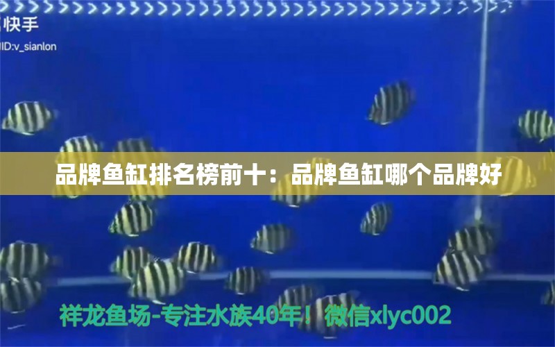 品牌魚缸排名榜前十：品牌魚缸哪個(gè)品牌好