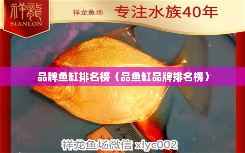 品牌魚缸排名榜（品魚缸品牌排名榜）