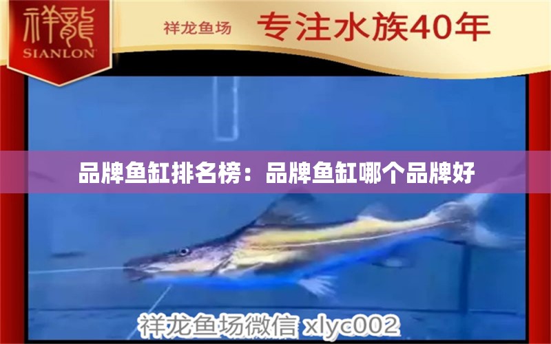 品牌魚缸排名榜：品牌魚缸哪個(gè)品牌好