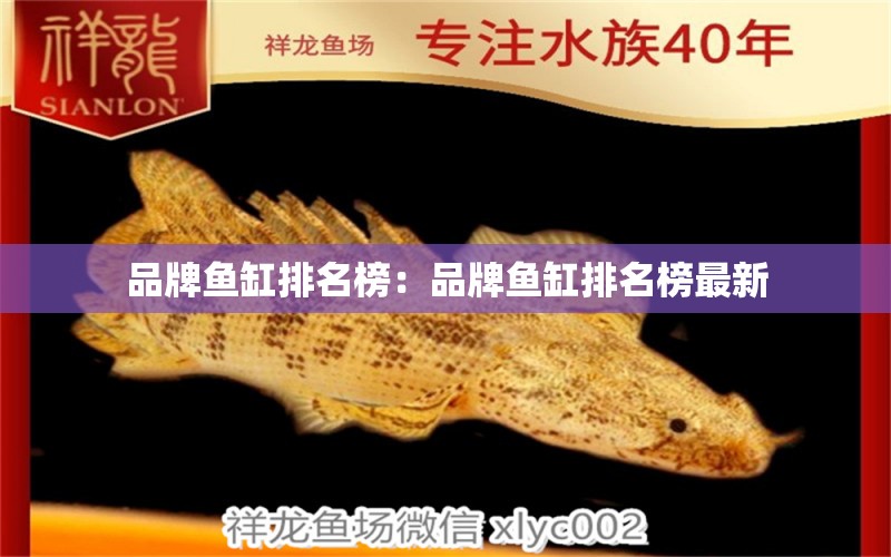 品牌魚缸排名榜：品牌魚缸排名榜最新