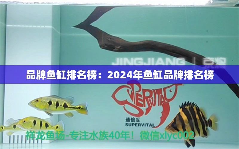 品牌魚缸排名榜：2024年魚缸品牌排名榜 魚缸百科 第1張